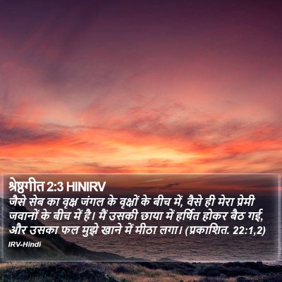 श्रेष्ठगीत 2:3 HINIRV Bible Verse Image
