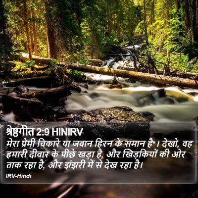श्रेष्ठगीत 2:9 HINIRV Bible Verse Image