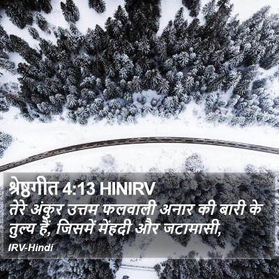 श्रेष्ठगीत 4:13 HINIRV Bible Verse Image