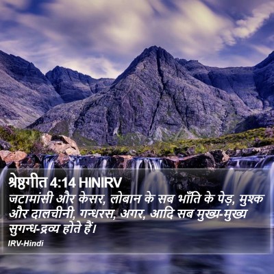 श्रेष्ठगीत 4:14 HINIRV Bible Verse Image