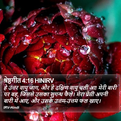 श्रेष्ठगीत 4:16 HINIRV Bible Verse Image
