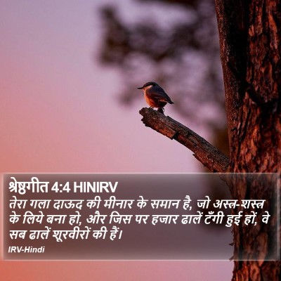 श्रेष्ठगीत 4:4 HINIRV Bible Verse Image