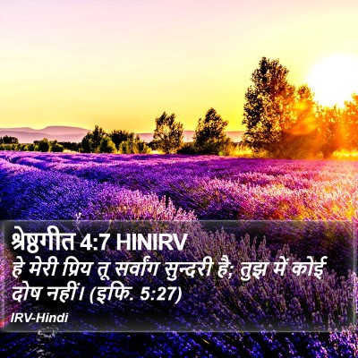 श्रेष्ठगीत 4:7 HINIRV Bible Verse Image
