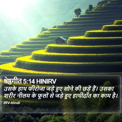 श्रेष्ठगीत 5:14 HINIRV Bible Verse Image