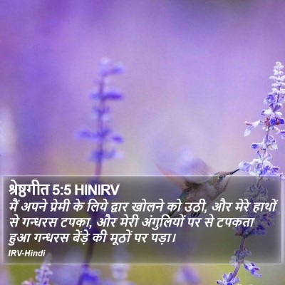 श्रेष्ठगीत 5:5 HINIRV Bible Verse Image