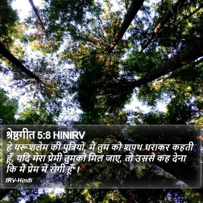 श्रेष्ठगीत 5:8 HINIRV Bible Verse Image