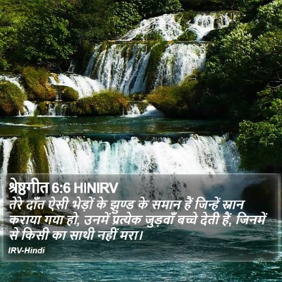 श्रेष्ठगीत 6:6 HINIRV Bible Verse Image
