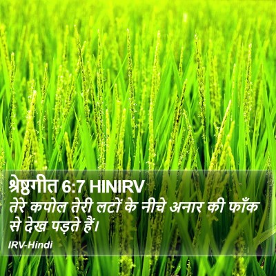 श्रेष्ठगीत 6:7 HINIRV Bible Verse Image