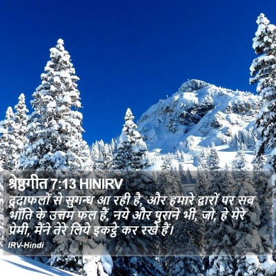 श्रेष्ठगीत 7:13 HINIRV Bible Verse Image