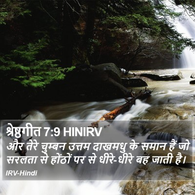 श्रेष्ठगीत 7:9 HINIRV Bible Verse Image