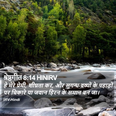 श्रेष्ठगीत 8:14 HINIRV Bible Verse Image