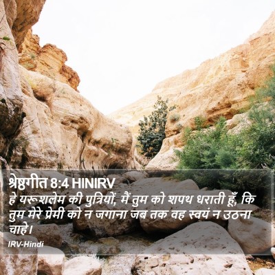 श्रेष्ठगीत 8:4 HINIRV Bible Verse Image