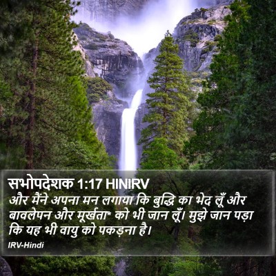 सभोपदेशक 1:17 HINIRV Bible Verse Image