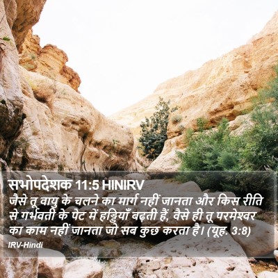 सभोपदेशक 11:5 HINIRV Bible Verse Image