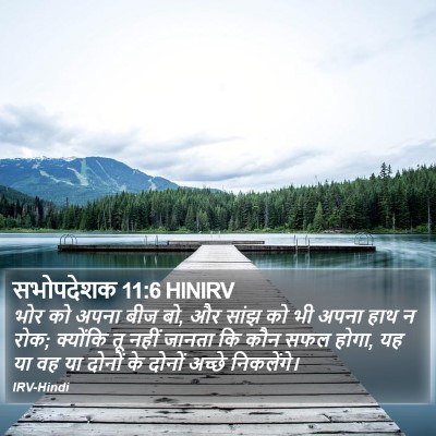 सभोपदेशक 11:6 HINIRV Bible Verse Image