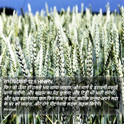 सभोपदेशक 12:5 HINIRV Bible Verse Image