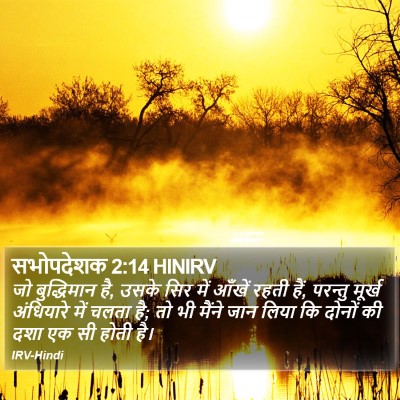 सभोपदेशक 2:14 HINIRV Bible Verse Image