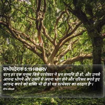 सभोपदेशक 5:19 HINIRV Bible Verse Image