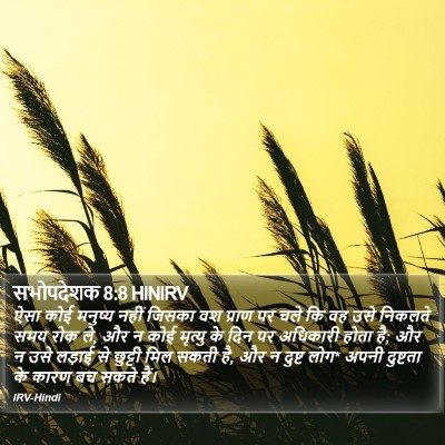 सभोपदेशक 8:8 HINIRV Bible Verse Image