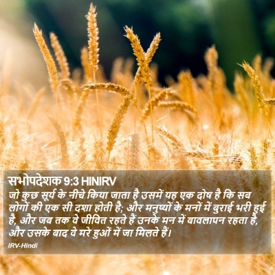 सभोपदेशक 9:3 HINIRV Bible Verse Image