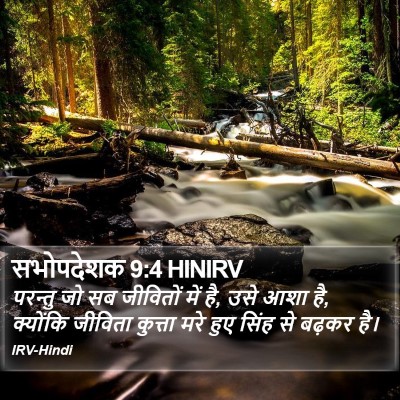 सभोपदेशक 9:4 HINIRV Bible Verse Image