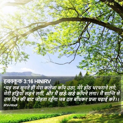 हबक्कूक 3:16 HINIRV Bible Verse Image