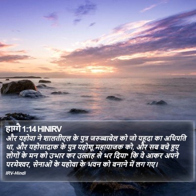 हाग्गै 1:14 HINIRV Bible Verse Image