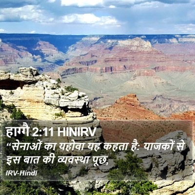 हाग्गै 2:11 HINIRV Bible Verse Image