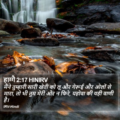 हाग्गै 2:17 HINIRV Bible Verse Image