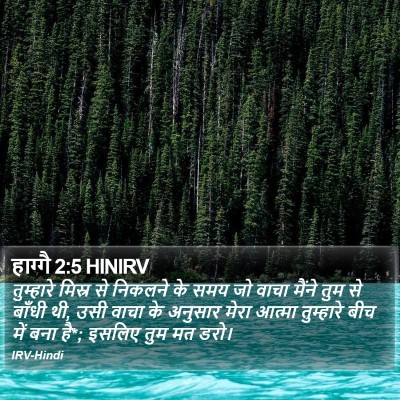 हाग्गै 2:5 HINIRV Bible Verse Image
