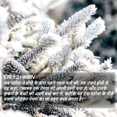 होशे 1:2 HINIRV Bible Verse Image