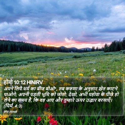 होशे 10:12 HINIRV Bible Verse Image