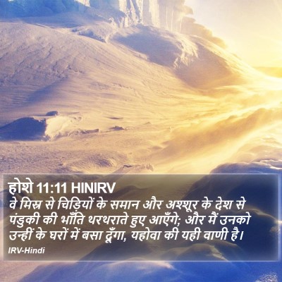 होशे 11:11 HINIRV Bible Verse Image