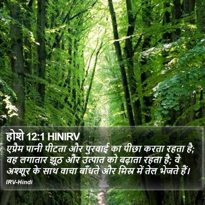 होशे 12:1 HINIRV Bible Verse Image