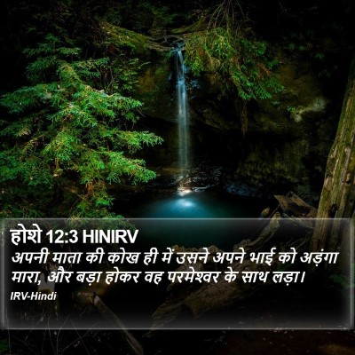 होशे 12:3 HINIRV Bible Verse Image