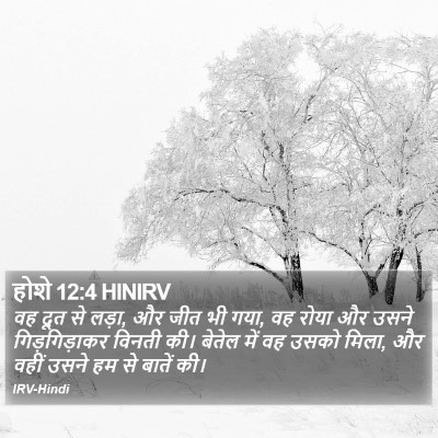 होशे 12:4 HINIRV Bible Verse Image