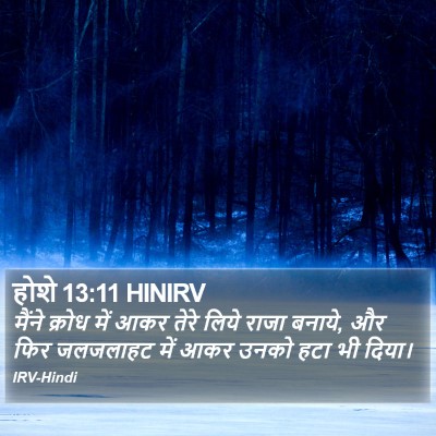 होशे 13:11 HINIRV Bible Verse Image