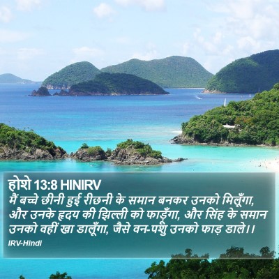 होशे 13:8 HINIRV Bible Verse Image