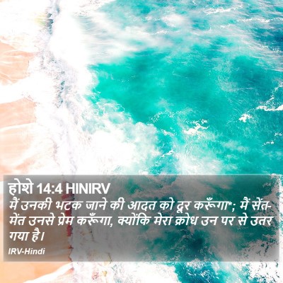 होशे 14:4 HINIRV Bible Verse Image