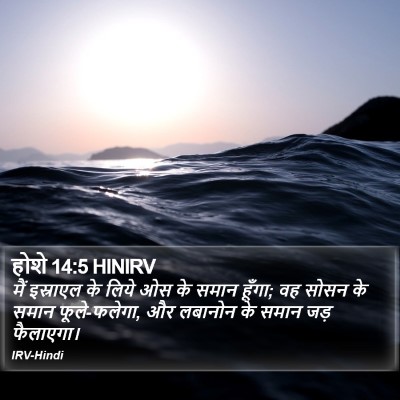 होशे 14:5 HINIRV Bible Verse Image