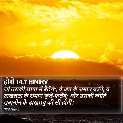 होशे 14:7 HINIRV Bible Verse Image