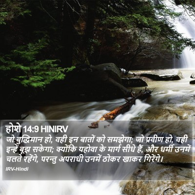 होशे 14:9 HINIRV Bible Verse Image