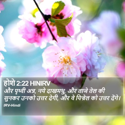 होशे 2:22 HINIRV Bible Verse Image
