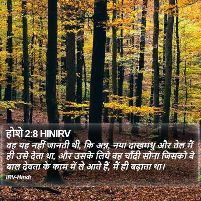 होशे 2:8 HINIRV Bible Verse Image