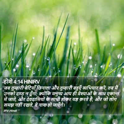 होशे 4:14 HINIRV Bible Verse Image