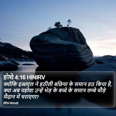 होशे 4:16 HINIRV Bible Verse Image