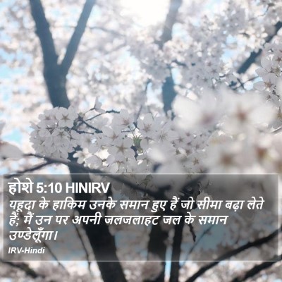 होशे 5:10 HINIRV Bible Verse Image