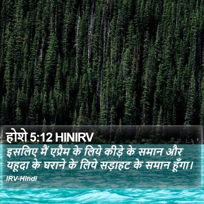 होशे 5:12 HINIRV Bible Verse Image