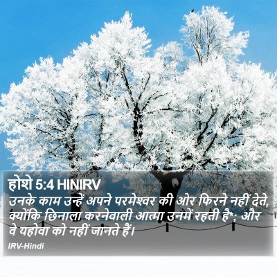 होशे 5:4 HINIRV Bible Verse Image