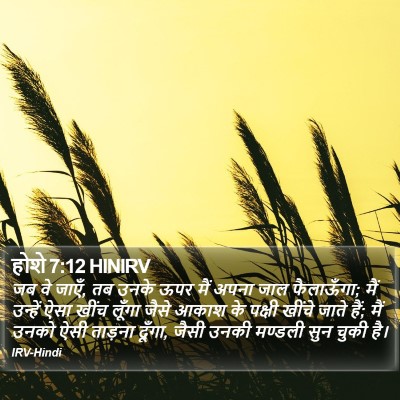 होशे 7:12 HINIRV Bible Verse Image